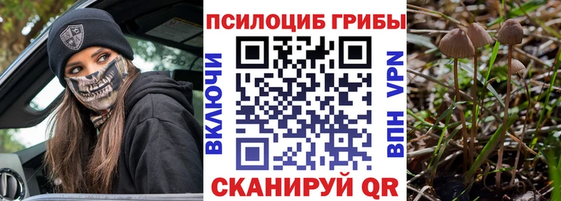 Псилоцибиновые грибы Psilocybe  ОМГ ОМГ ссылки  Заозёрск  сколько стоит 